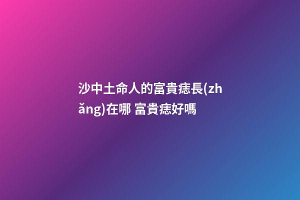 沙中土命人的富貴痣長(zhǎng)在哪 富貴痣好嗎